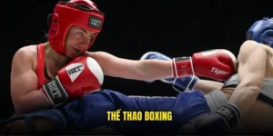 Thể thao Boxing
