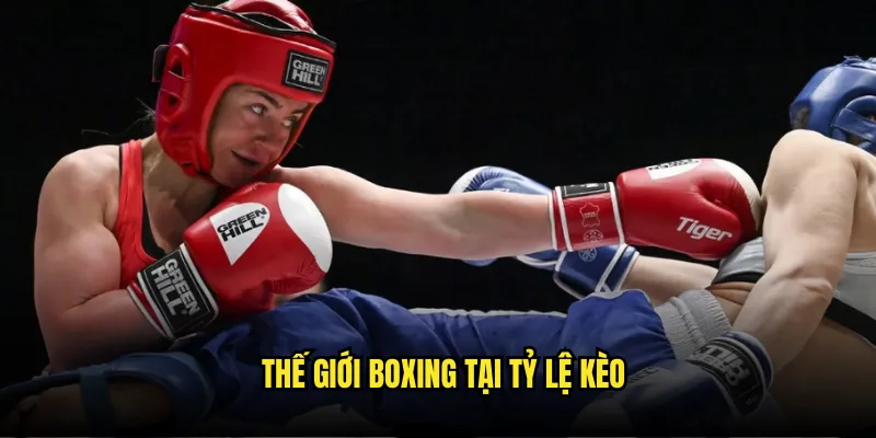 Thể Thao Boxing Tỷ Lệ Kèo - Đặt Cược Quyền Anh Chuyên Nghiệp 2 Thế Giới Boxing Tại Tỷ Lệ Kèo