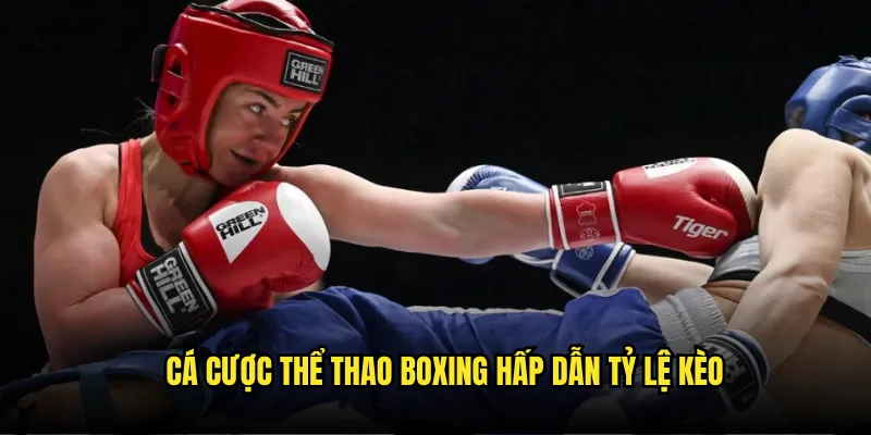Thể Thao Boxing Tỷ Lệ Kèo - Đặt Cược Quyền Anh Chuyên Nghiệp 3 Cá Cược thể thao Boxing Hấp Dẫn Tỷ Lệ Kèo