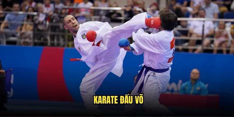 Karate đấu võ
