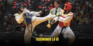Taekwondo là gì