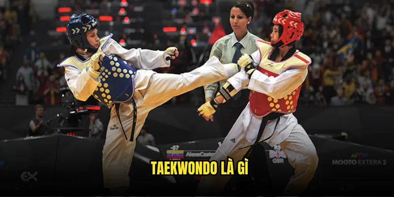 Taekwondo là gì
