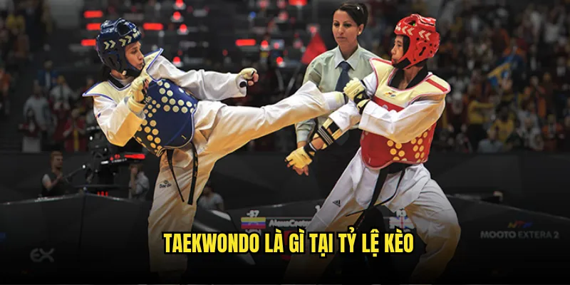 Taekwondo là gì ? Cá Cược Võ Thuật Hàn Quốc tại Tỷ Lệ Kèo 2 Taekwondo là gì Tại Tỷ Lệ Kèo