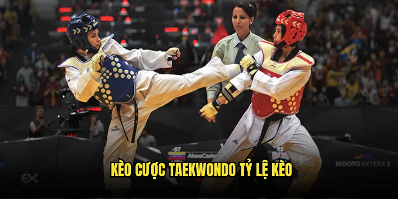 Taekwondo là gì ? Cá Cược Võ Thuật Hàn Quốc tại Tỷ Lệ Kèo 3 Kèo Cược Taekwondo Tỷ Lệ Kèo