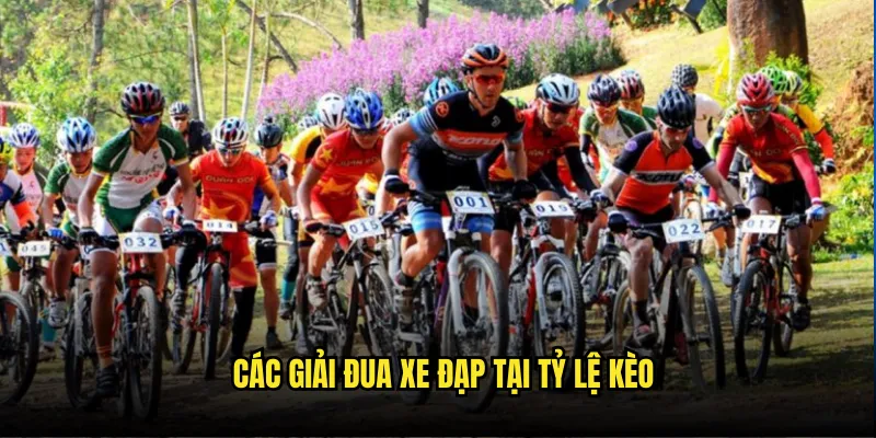 Đua Xe Đạp Tỷ Lệ Kèo - Tour de France Betting Online 2 Các Giải Đua Xe Đạp Tại Tỷ Lệ Kèo