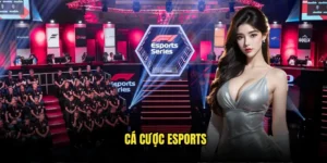 cá cược Esports