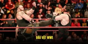 Đấu vật WWE
