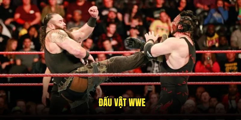 Đấu vật WWE